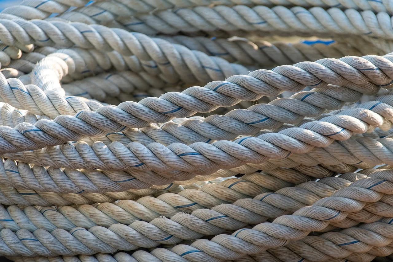 Ce efecte pot avea ruminațiile asupra stării de sănătate a individului