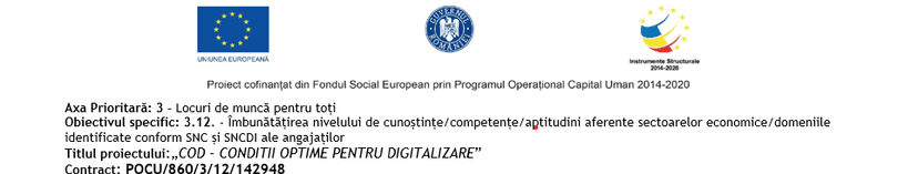 DESCRIEREA PROIECTULUI
